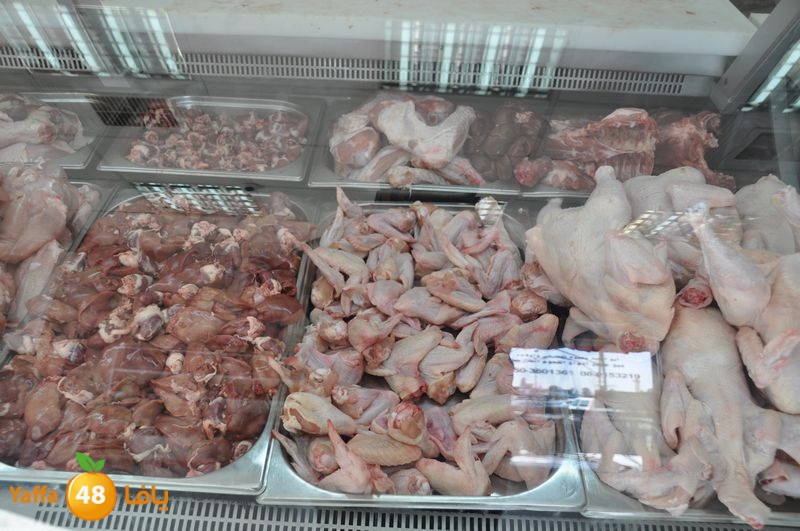 mal7amat el balad (20).JPG